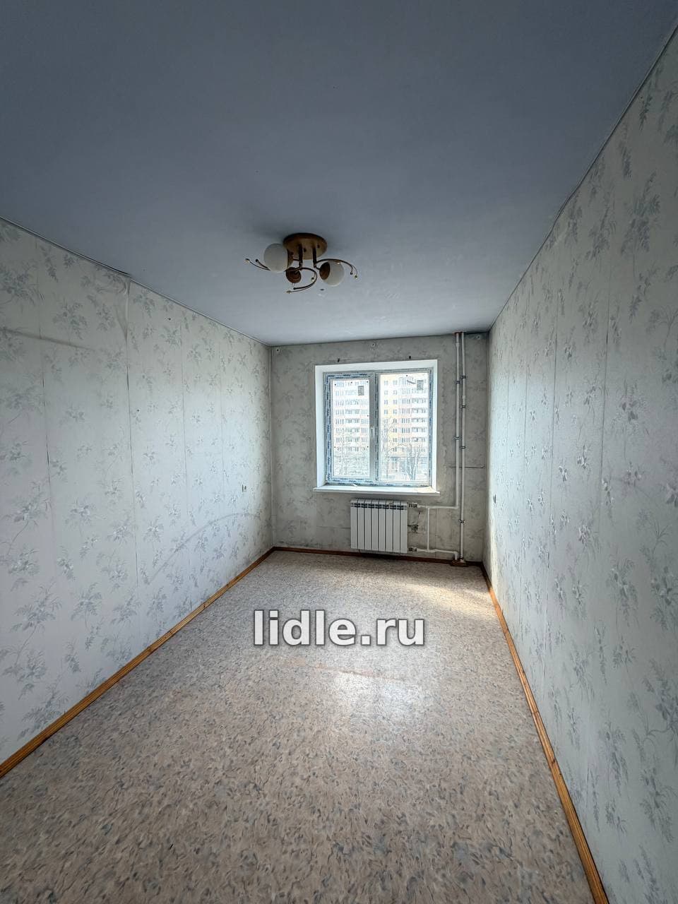 Фото объявления 3