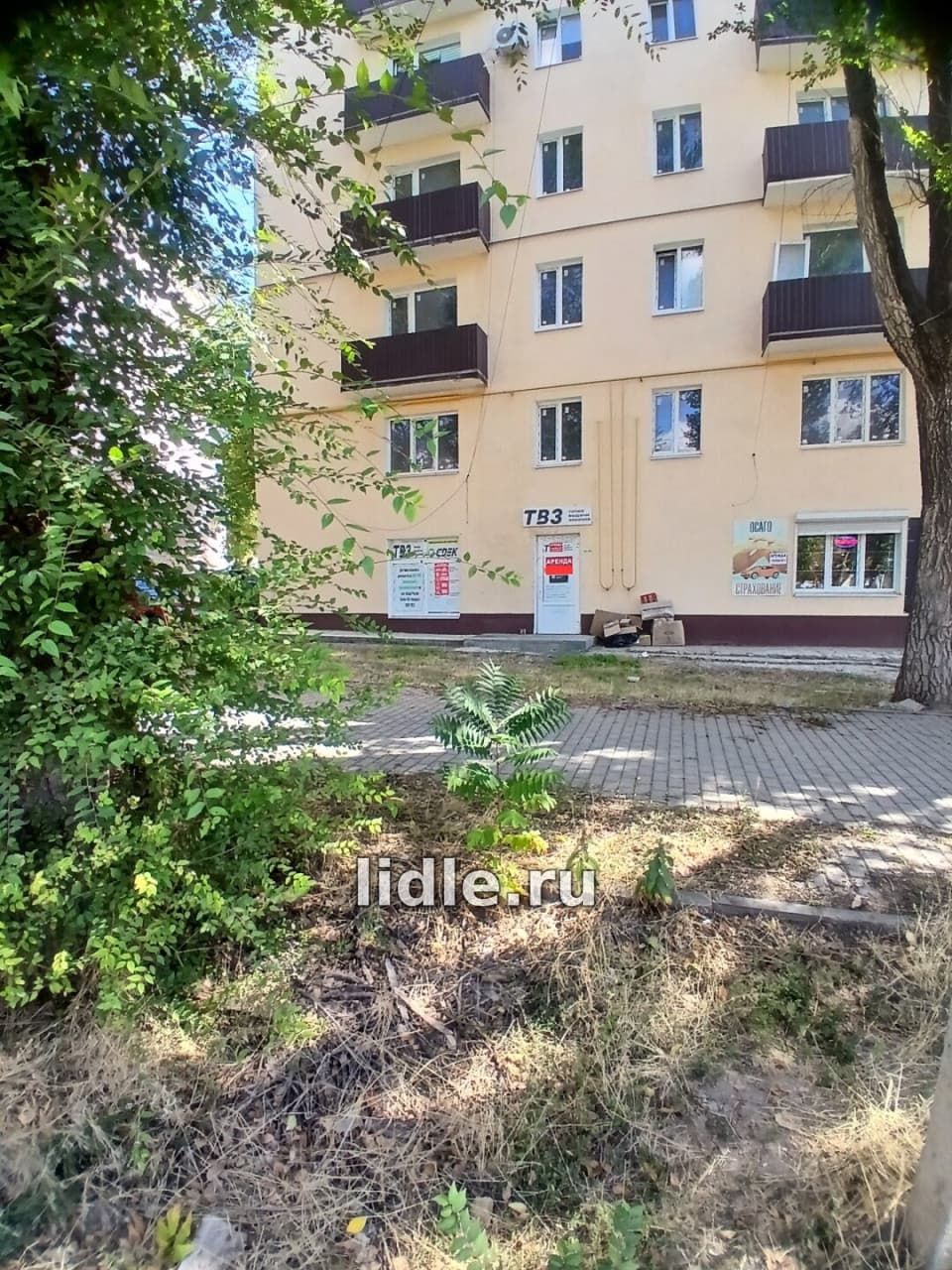 Фото объявления 6