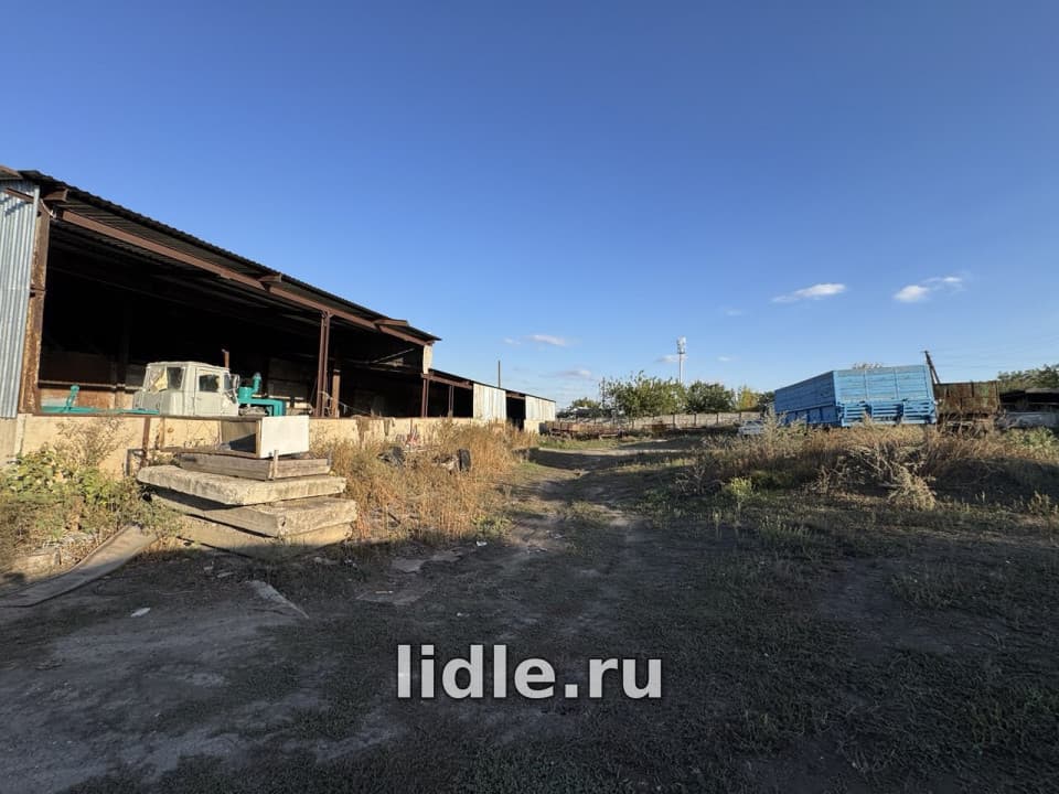 Фото объявления 5