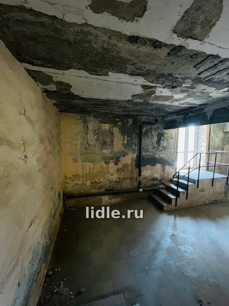 Фото объявления 5