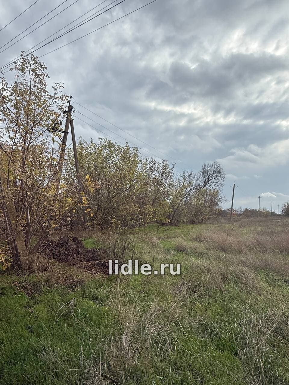 Фото объявления 4